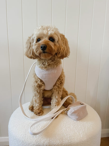 Dog Walk Wear Set - Mr Monty & Me - The Label