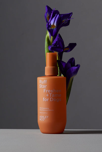 Ruff Star - Freshen + Tame for Dogs - Doug, Dug & Dug - Ashley & Co