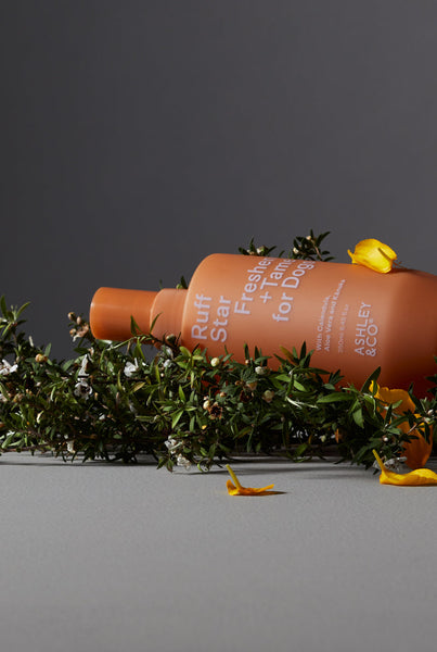 Ruff Star - Freshen + Tame for Dogs - Doug, Dug & Dug - Ashley & Co
