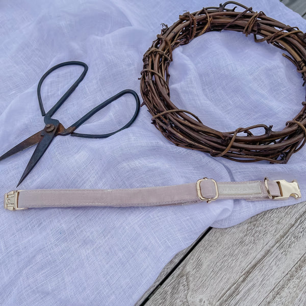 Dog Collars - Mr Monty & Me - The Label
