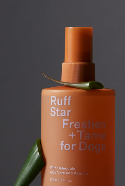 Ruff Star - Refresca + Doma para perros - Doug, Dug &amp; Dug - Ashley &amp; Co